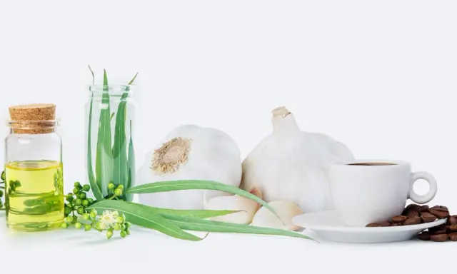 Knoblauch, Kaffee und Eukalyptusöl – natürliche Helfer für Asthma Hausmittel.