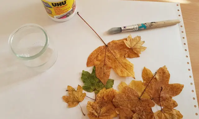 Préparation d'une décoration avec des feuilles d'arbre séchées, de la colle UHU, un pinceau et un petit récipient en verre.