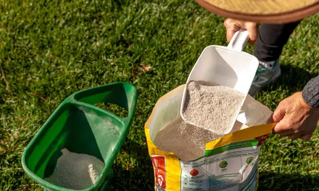 Scooping insecticide from a bag into a spreader. Check product label for how often to apply insecticide to lawn.