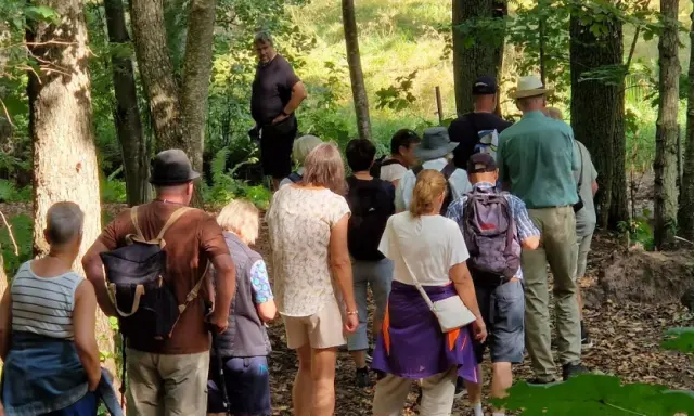 En grupp människor njuter av vandringens dag i en lummig skog.