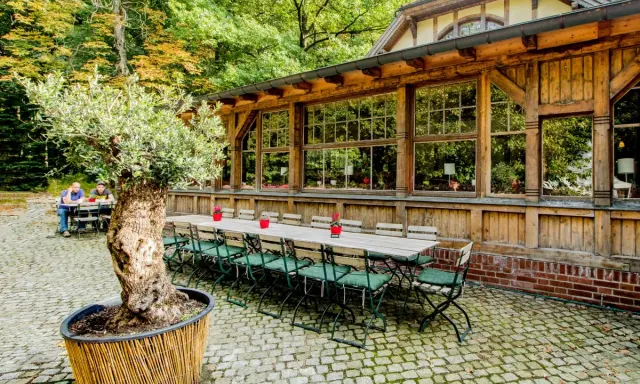 Zeisigwaldschänke Chemnitz: Infos, Speisekarte, Biergarten & Feiern