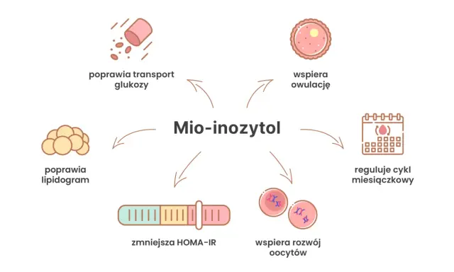 Mio-inozytol: kiedy brać? Wspiera owulację, reguluje cykl, poprawia transport glukozy, lipidogram, zmniejsza HOMA-IR i rozwój oocytów.