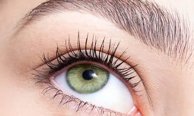 Œil vert aux cils longs, sourcil parfaitement dessiné après une épilation sourcil cire.
