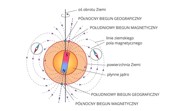 Ilustracja pokazuje, jak działa kompas: igła magnetyczna ustawia się wzdłuż linii pola magnetycznego Ziemi, wskazując biegun północny.