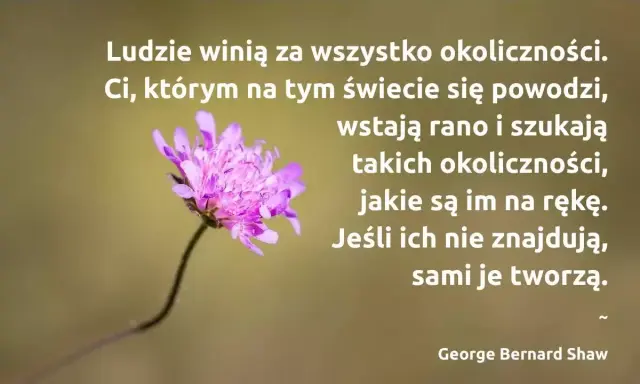 Kto rano wstaje cytaty: Czy to prawda? Inspiracja i humor