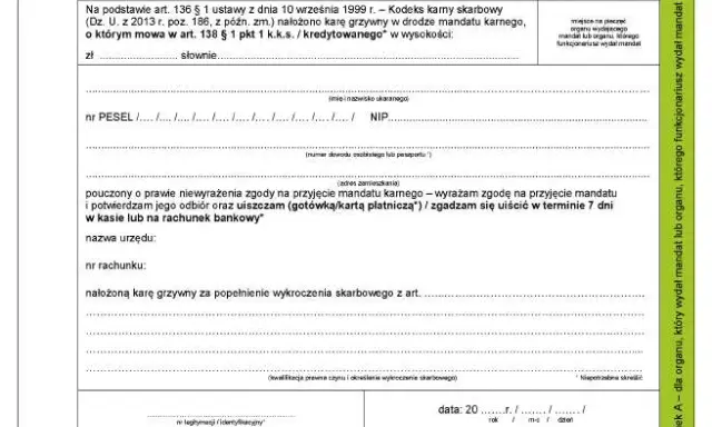 Jak sprawdzić mandat karny? Uniknij egzekucji! Poradnik