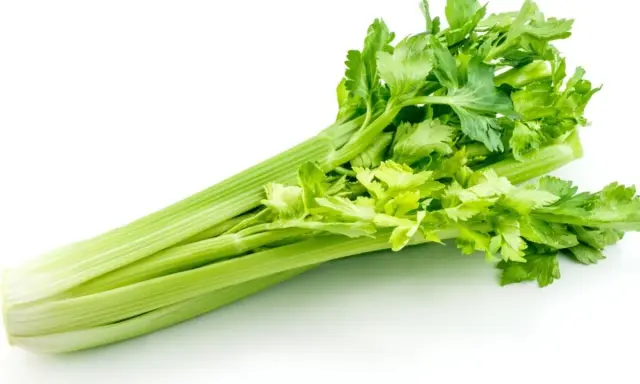 A fresh, vibrant celery plant with crisp green stalks and leafy tops, ready for a healthy snack or recipe.