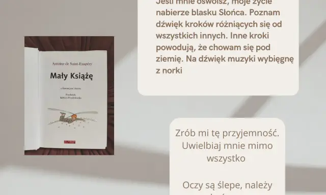 Okładka książki "Mały Książę" z cytatami z powieści.