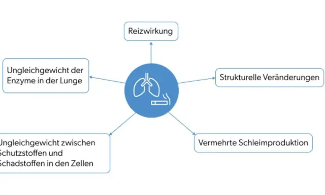 Diagramm zeigt, wie Rauchen bei COPD zu Reizungen, Ungleichgewichten und strukturellen Lungenveränderungen führt.