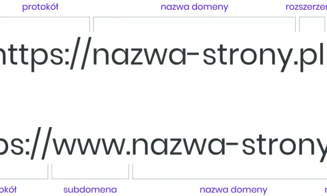 Domena internetowa: Co to jest? Jak wybrać i dlaczego jest kluczowa?