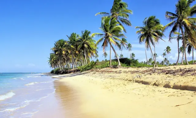 Playa paradisíaca en República Dominicana con niños jugando entre palmeras.