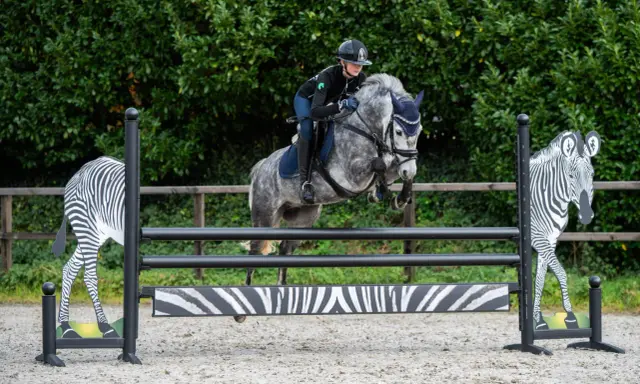Ein Reiterpaar überwindet mit einem grauen Pferd eine Hindernis-Kombination mit Zebra-Motiven.