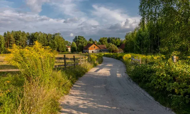 Szeroka droga gminna wewnętrzna prowadzi do gospodarstwa wśród zieleni i kwitnących żółtych kwiatów.