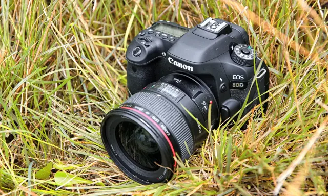 Lustrzanka Canon: Wciąż warto? Porównanie, modele, porady.