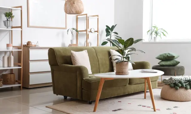 Aménagement petit studio : canapé vert, table basse ovale, étagères et plantes vertes créent un espace cosy et fonctionnel.