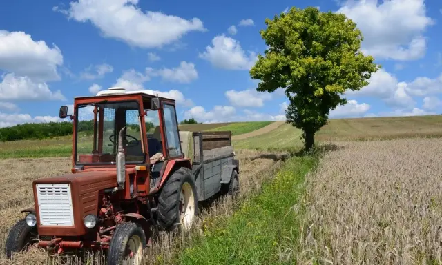 Praca w gospodarstwie rolnym do stażu? Zyskaj urlop i emeryturę!