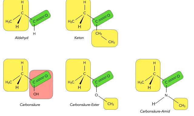 Chemische Strukturen: Aldehyd, Keton, Carbonsäure, Ester und Amid. Die zentrale Carbonylgruppe ist in verschiedenen Molekülen hervorgehoben.
