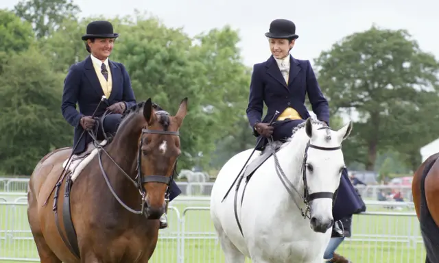 Zwei Reiterinnen im Damensattel, elegant gekleidet, reiten auf braunen und weißen Pferden.
