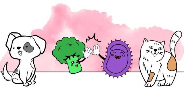Un chien, un brocoli et une bactérie s'amusent. Peut-on donner des probiotiques humains à un chien ?