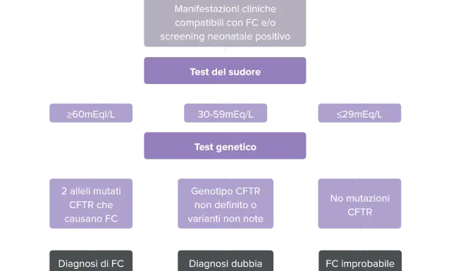 Diagramma di flusso per la diagnosi di fibrosi cistica neonato: test del sudore, test genetico e possibili esiti.