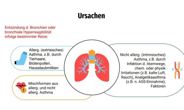 Ursachen von Asthma: Allergisches Asthma durch Reize wie Tierhaare, Pollen, Hausstaubmilben. Nicht-allergisches Asthma durch Infektionen, Kälte, Rauch oder Medikamente. Mischformen sind ebenfalls möglich.