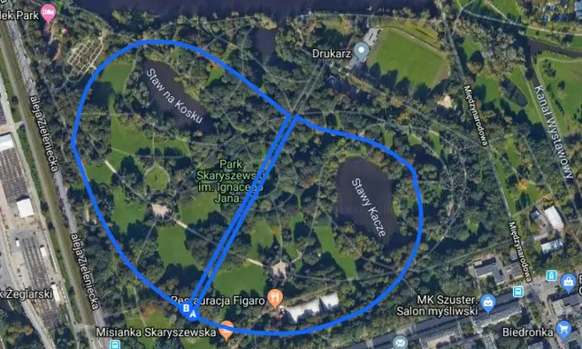 Mapa Parku Skaryszewskiego w Warszawie, idealne miejsce, gdzie biegać w Warszawie, z zaznaczonymi stawami i alejkami.