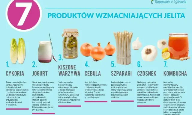 Cykoria, jogurt, kiszone warzywa, cebula, szparagi, czosnek, kombucha – produkty, które pomogą przy biegunce i wzmocnią jelita.