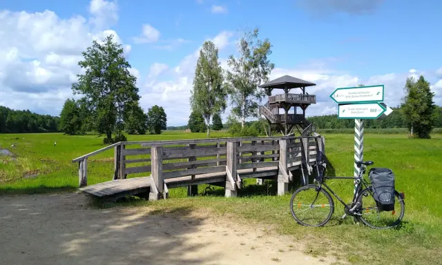 Rower czeka przy drewnianym pomoście, gotowy na odkrywanie tras rowerowych Podlasia. Wieża widokowa zaprasza do podziwiania krajobrazu.
