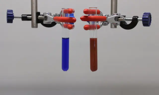 Zwei Reagenzgläser mit Flüssigkeiten, eines blau, das andere rotbraun, werden in einem Laborständer für eine Fehling-Probe gehalten.