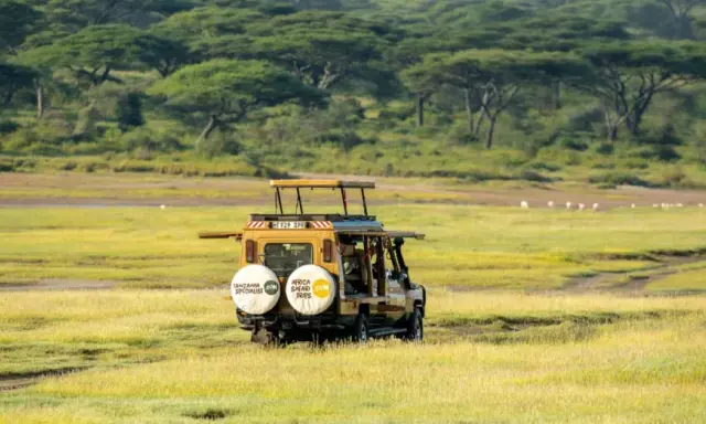 Gul safari-jeep kör genom savannen. För att skydda sig mot malaria, malariaprofylax är viktigt för resenärer.