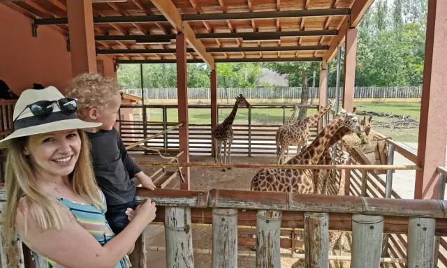 Rodzina w zoo, karmiąca żyrafy. Węgry, gdzie jechać na wakacje z dziećmi? Zoo w Budapeszcie to świetny pomysł!
