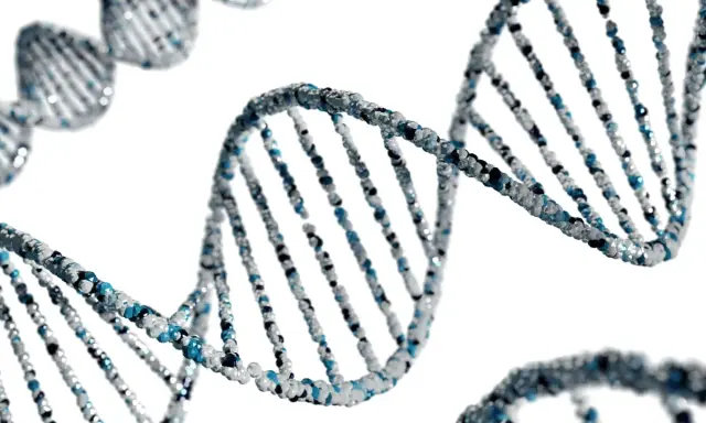 Model DNA z niebieskimi i białymi elementami na białym tle.