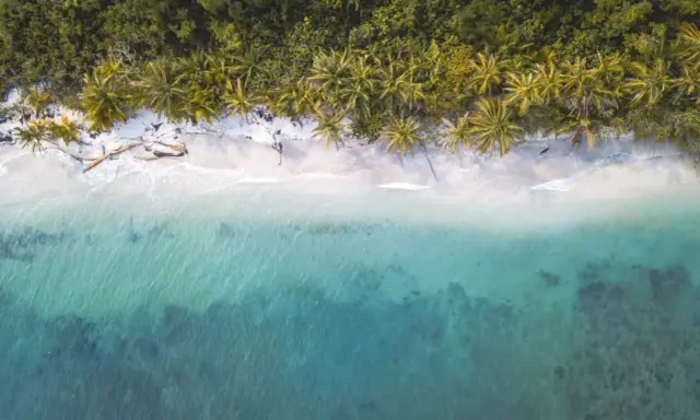 Traumhafter costa rica strand mit Palmen und türkisfarbenem Meer.