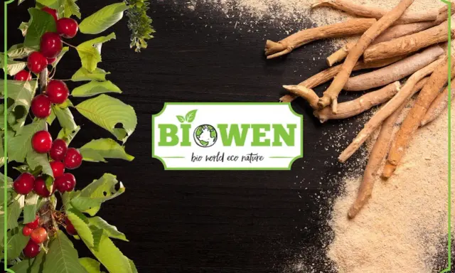 Gałązka wiśni i korzenie, które mogą być ziołami na obniżenie popędu seksualnego. Logo Biowen.