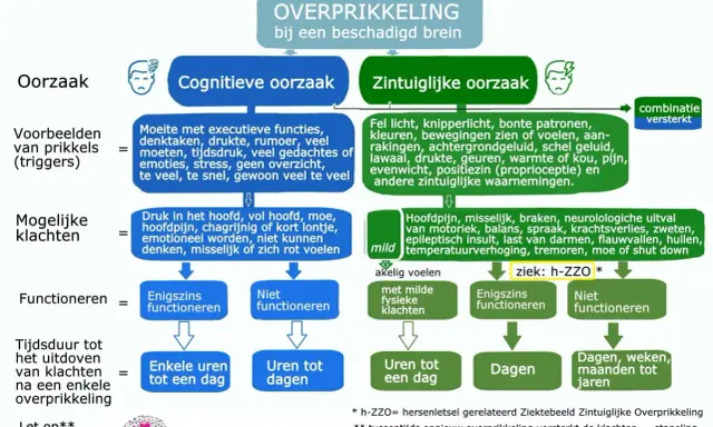 Overprikkeling bij hersenletsel: cognitieve oorzaken zoals te veel taken of emoties leiden tot klachten, terwijl zintuiglijke prikkels zoals fel licht ook overbelasting veroorzaken.