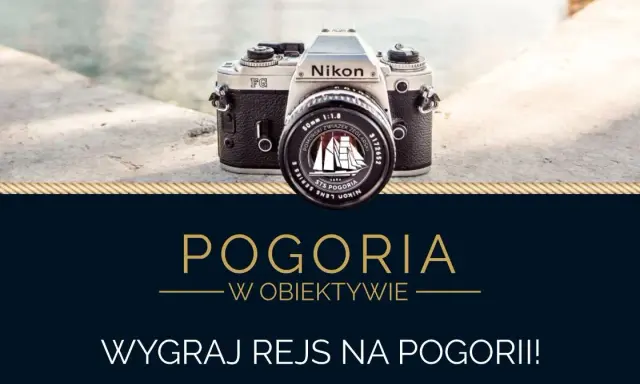 Wygraj lustrzankę: Gdzie szukać konkursów i jak wygrać?