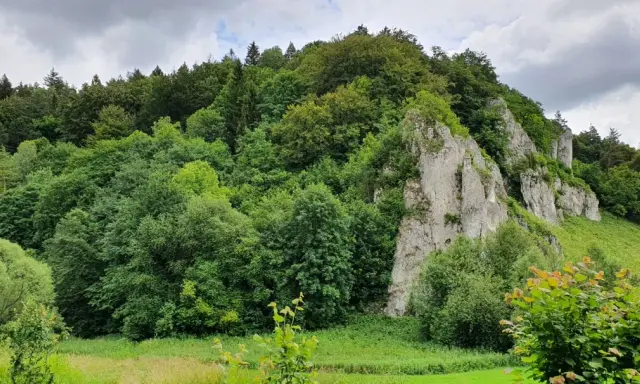 Zielony las i skaliste zbocza, idealne na wędrówkę trasą Maczuga Herkulesa.