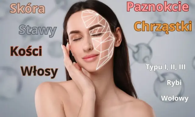 Kobieta z nałożoną siatką na twarz, symbolizującą tropokolagen. Teksty wskazują na jego rolę w skórze, stawach, kościach, włosach, paznokciach i chrząstkach.