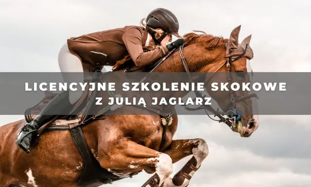Jeździec w brązowej kurtce skacze na koniu przez przeszkodę.