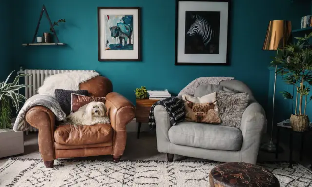 Un cane bianco su una poltrona di pelle marrone, con pareti color marrs green e quadri di animali.