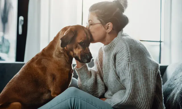 En kvinna kysser sin hunds huvud, en gest av saknad och sorg. Hunden ser trött ut, som om den delar hennes känslor.