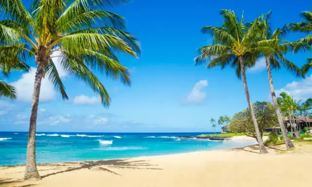 Traumhafter Hawaii Beach mit Palmen, türkisblauem Wasser und sanften Wellen unter strahlend blauem Himmel.
