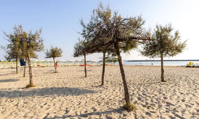 Alberi di tamerici creano ombra sulla spiaggia dorata. In lontananza, lettini e ombrelloni attendono i bagnanti.