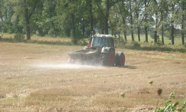Traktor rozsypuje wapno na polu, pokazując, co daje wapnowanie gleby. Poprawia jej strukturę i żyzność.
