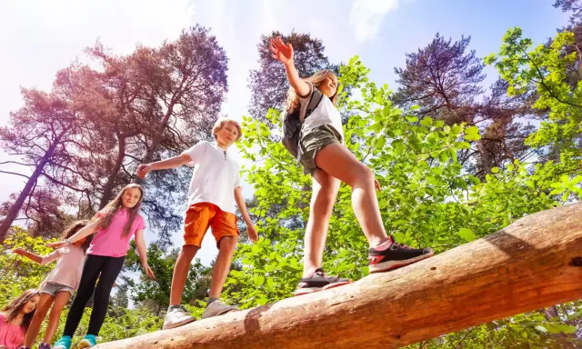 Niños en un campamento de verano practicando equilibrio sobre un tronco caído en un bosque soleado.