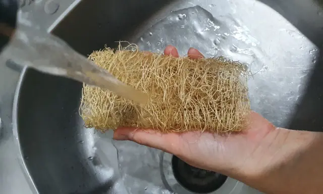 Ein Luffa Schwamm wird unter fließendem Wasser in der Spüle gereinigt.