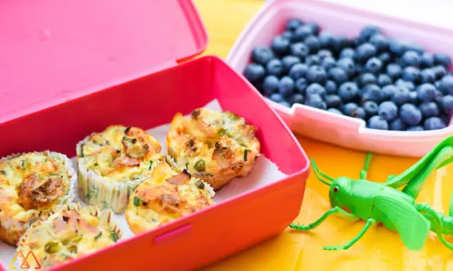 Kolorowe pudełka śniadaniowe z muffinkami jajecznymi i borówkami. Idealne przekąski dla dzieci, które umilą każdy dzień.