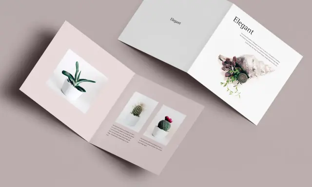 Díptico mockup con plantas en macetas blancas y una concha marina. Diseño elegante y minimalista.