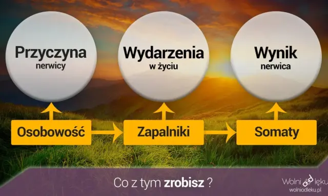 Schemat wyjaśniający przyczyny nerwicy: osobowość, wydarzenia życiowe i zapalniki prowadzą do somatycznych objawów nerwicy.