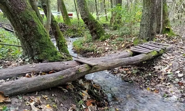 Mostek z pni drzew nad strumieniem w dolinie kluczwody. Jesienne liście, mech na drzewach.